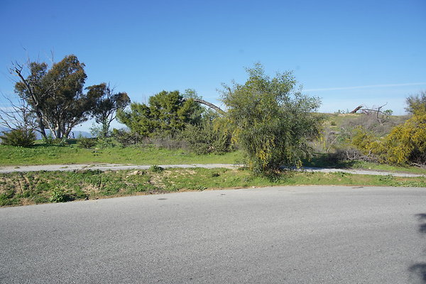 elysian-2025-008 elysian-2025-008