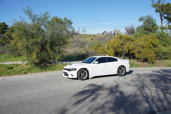 elysian-2025-010 elysian-2025-010