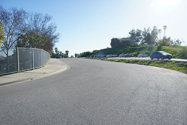 elysian-2025-005 elysian-2025-005