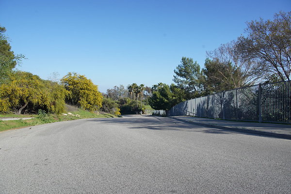 z-elysian-2025-003 z-elysian-2025-003