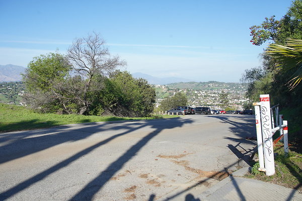 elysian-2025-021 elysian-2025-021