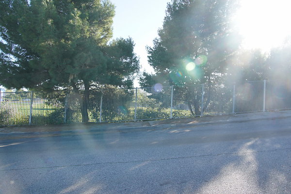 elysian-2025-017 elysian-2025-017