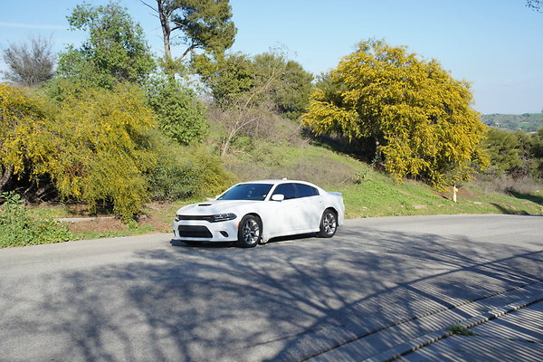 03 Elysian Angels Point Rd At Baseball