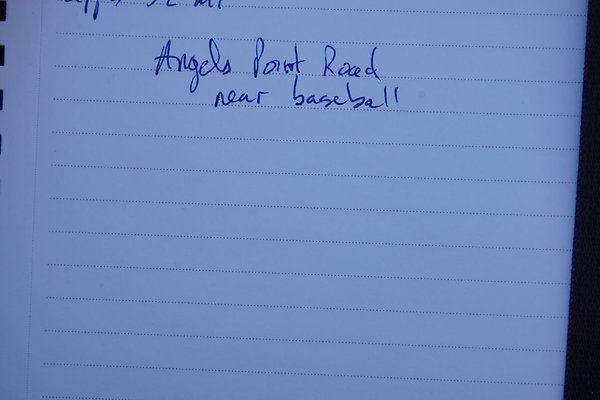 z-elysian-2025-001 z-elysian-2025-001