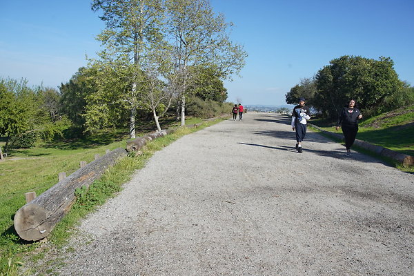 z-elysian-2025-072 z-elysian-2025-072