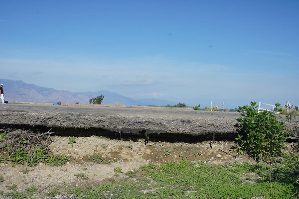 elysian-2025-095 elysian-2025-095