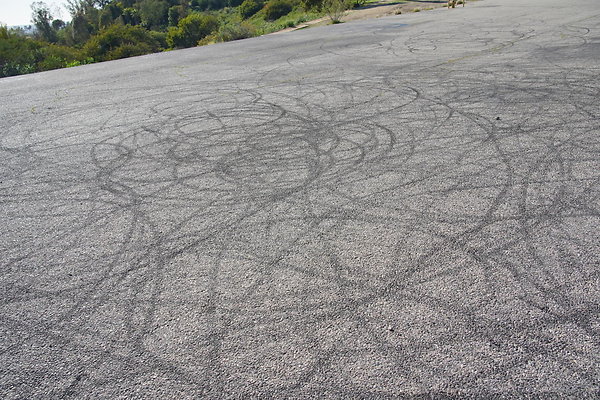 elysian-2025-099 elysian-2025-099