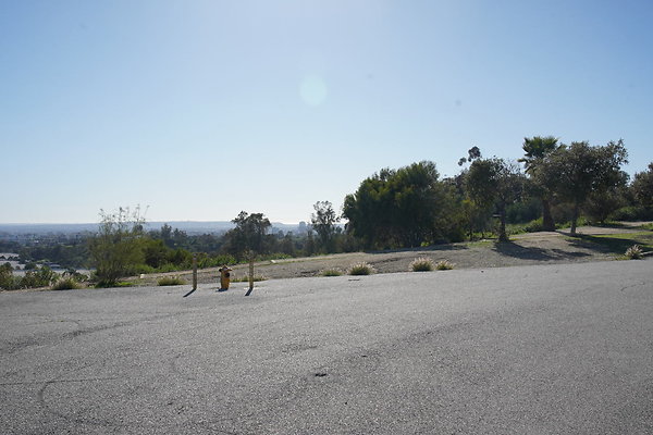 elysian-2025-085 elysian-2025-085