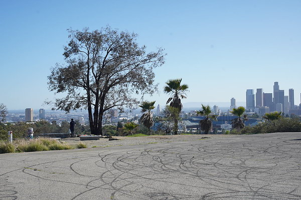 elysian-2025-077 elysian-2025-077