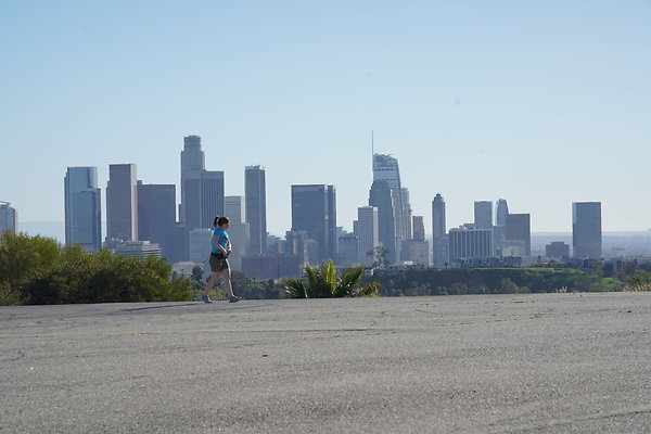 elysian-2025-105 elysian-2025-105