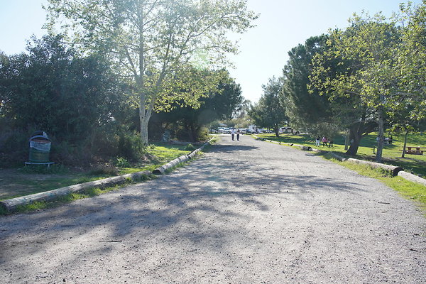 z-elysian-2025-071 z-elysian-2025-071