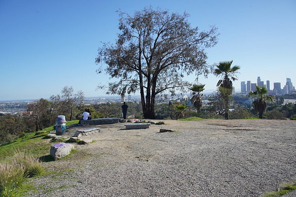 elysian-2025-096 elysian-2025-096