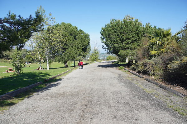 z-elysian-2025-070 z-elysian-2025-070