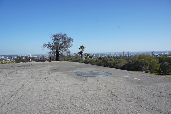 elysian-2025-088 elysian-2025-088