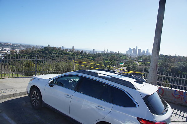 elysian-2025-124 elysian-2025-124