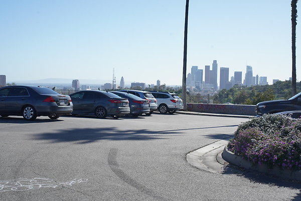 elysian-2025-142 elysian-2025-142