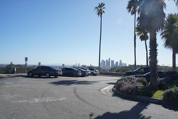 elysian-2025-141 elysian-2025-141