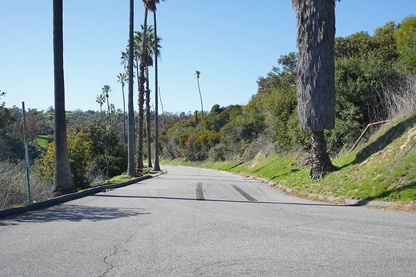 elysian-2025-138 elysian-2025-138