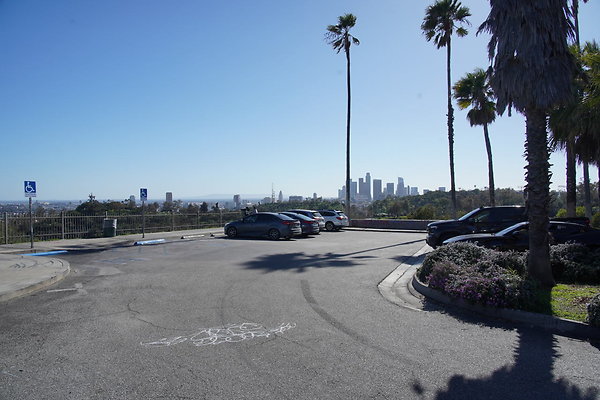 z-elysian-2025-110 z-elysian-2025-110