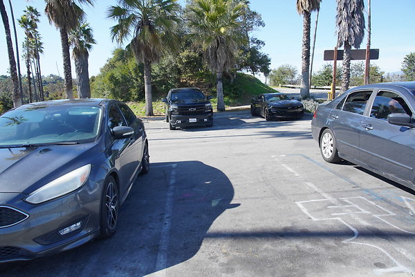 elysian-2025-118 elysian-2025-118