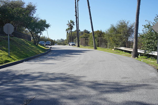 elysian-2025-139 elysian-2025-139