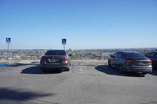 elysian-2025-115 elysian-2025-115