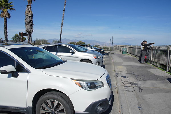 elysian-2025-133 elysian-2025-133