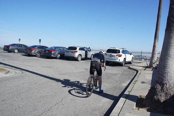 elysian-2025-137 elysian-2025-137