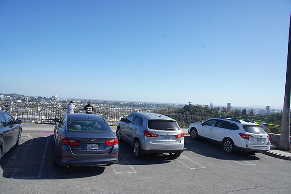 elysian-2025-121 elysian-2025-121