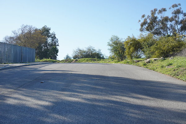 elysian-2025-063 elysian-2025-063