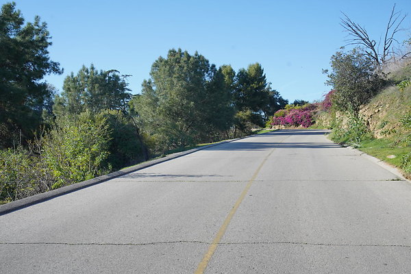 elysian-2025-048 elysian-2025-048