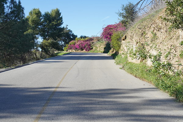 elysian-2025-050 elysian-2025-050