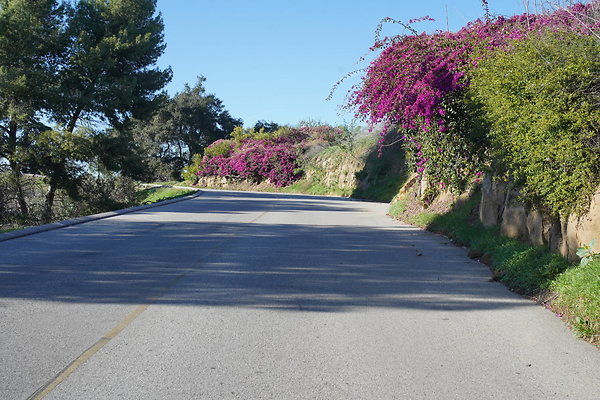 elysian-2025-051 elysian-2025-051