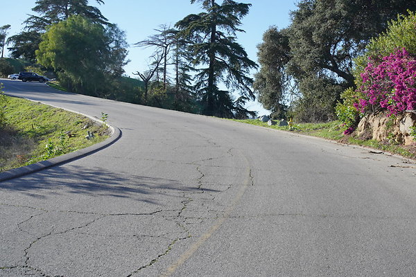 elysian-2025-054 elysian-2025-054