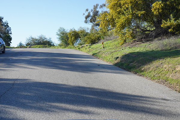 elysian-2025-062 elysian-2025-062