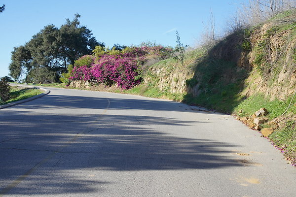 elysian-2025-052 elysian-2025-052