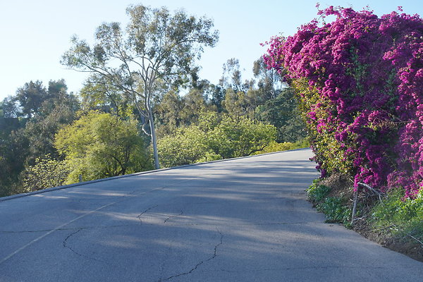 elysian-2025-045 elysian-2025-045