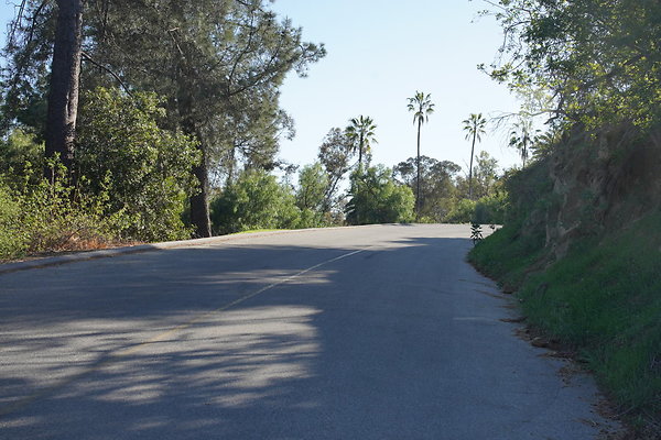 elysian-2025-043 elysian-2025-043