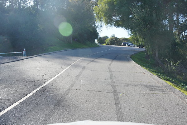 elysian-2025-056 elysian-2025-056