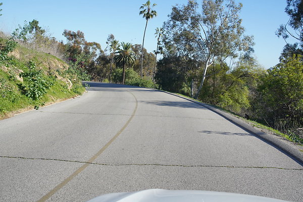 elysian-2025-037 elysian-2025-037