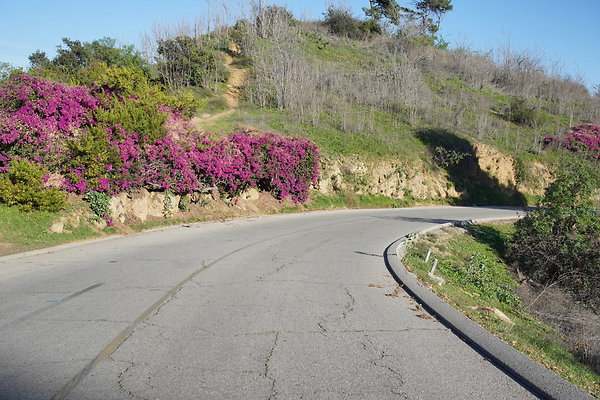 elysian-2025-029 elysian-2025-029