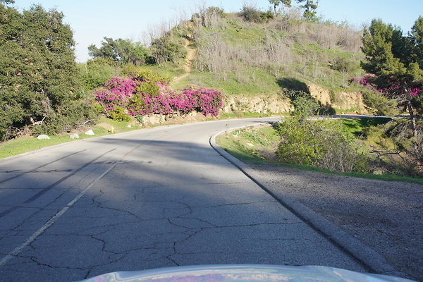 elysian-2025-028 elysian-2025-028