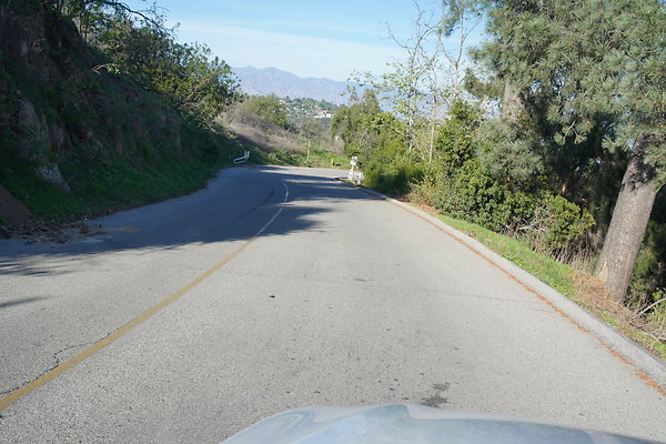 elysian-2025-041 elysian-2025-041