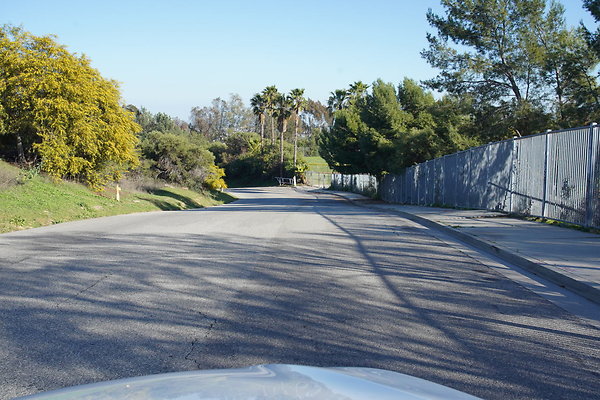 elysian-2025-024 elysian-2025-024