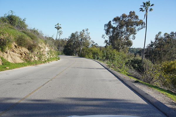 elysian-2025-035 elysian-2025-035