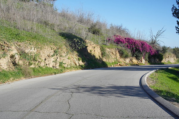 04 Elysian Angels Point Rd Driving EB