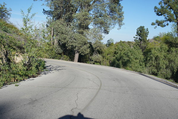 elysian-2025-040 elysian-2025-040