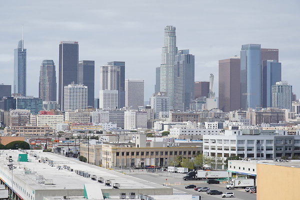 Alameda-Tower-102 Alameda-Tower-102