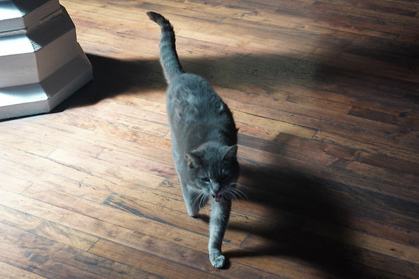 magnus-2025-192 magnus-2025-192