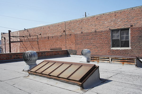 magnus-2025-203 magnus-2025-203